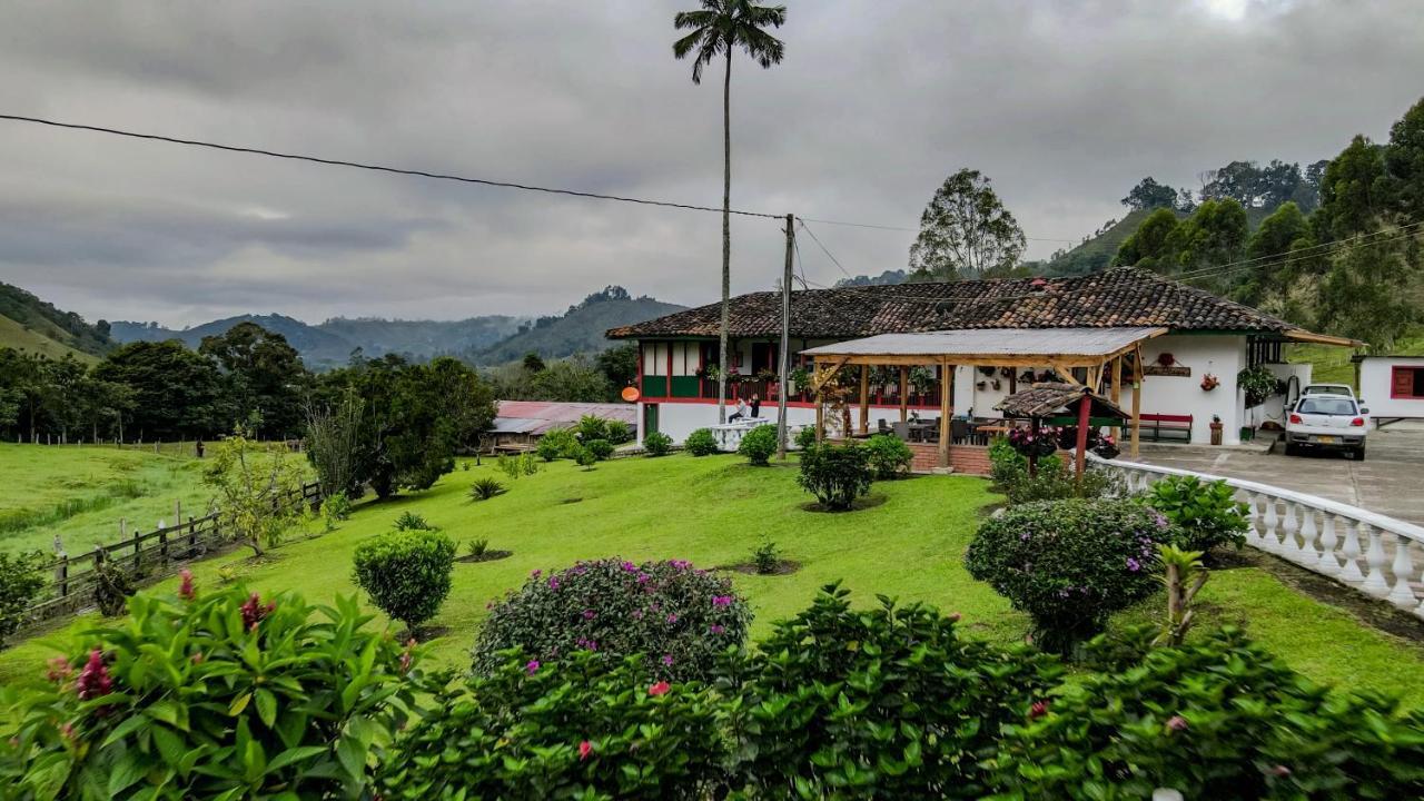 Finca La Playa Ecohotel - Experiencia Campestre - ซาเลนโต ภายนอก รูปภาพ