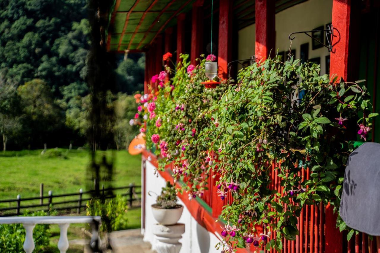 Finca La Playa Ecohotel - Experiencia Campestre - ซาเลนโต ภายนอก รูปภาพ