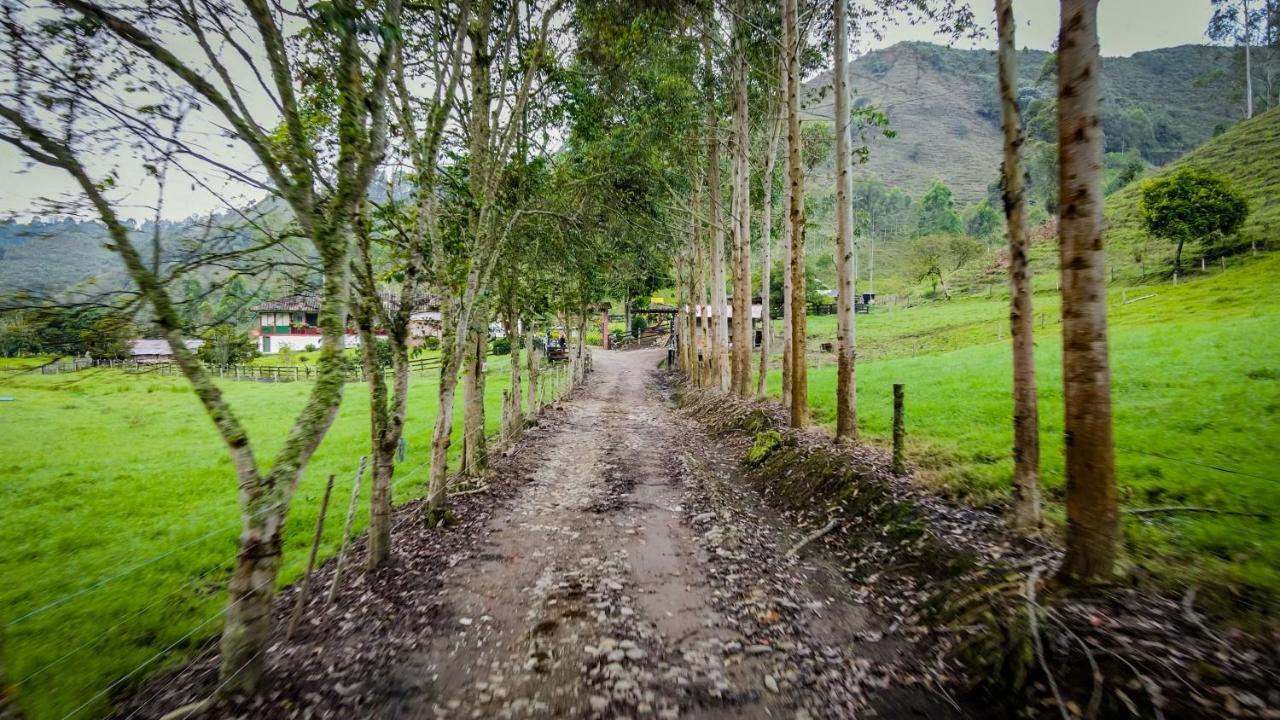 Finca La Playa Ecohotel - Experiencia Campestre - ซาเลนโต ภายนอก รูปภาพ