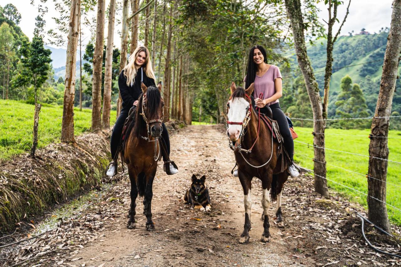 Finca La Playa Ecohotel - Experiencia Campestre - ซาเลนโต ภายนอก รูปภาพ