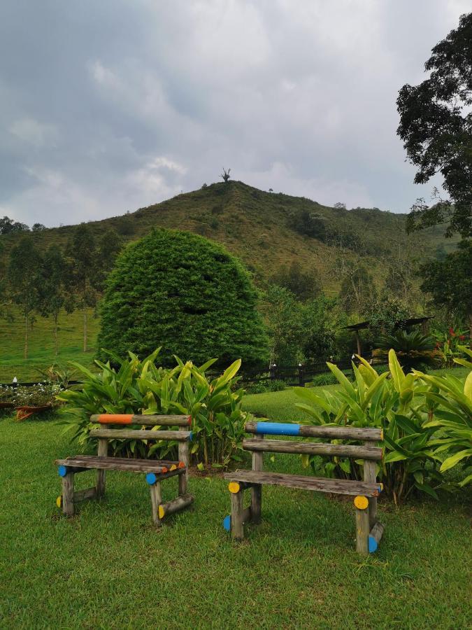 Finca La Playa Ecohotel - Experiencia Campestre - ซาเลนโต ภายนอก รูปภาพ