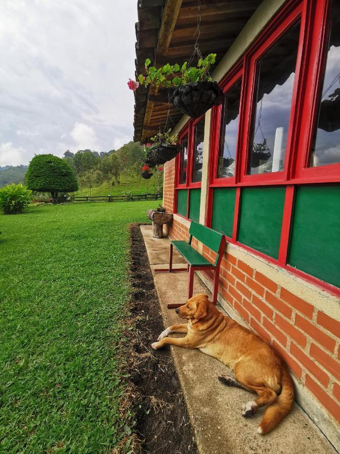 Finca La Playa Ecohotel - Experiencia Campestre - ซาเลนโต ภายนอก รูปภาพ